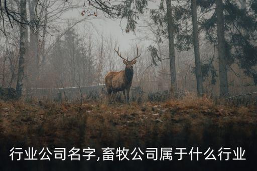 畜牧行业公司名字,畜牧公司属于什么行业