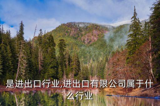 什么是进出口行业,进出口有限公司属于什么行业