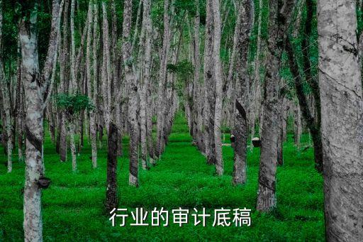 行业的审计底稿
