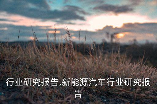 行业研究报告,新能源汽车行业研究报告