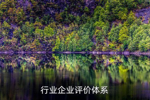 行业企业评价体系