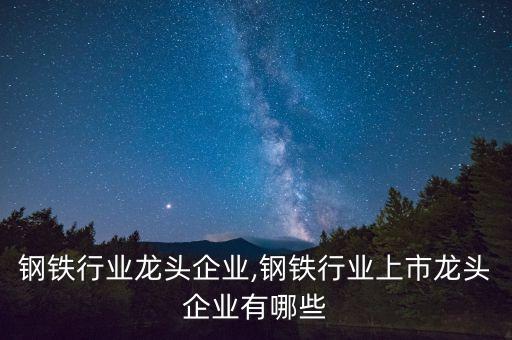 钢铁行业龙头企业,钢铁行业上市龙头企业有哪些