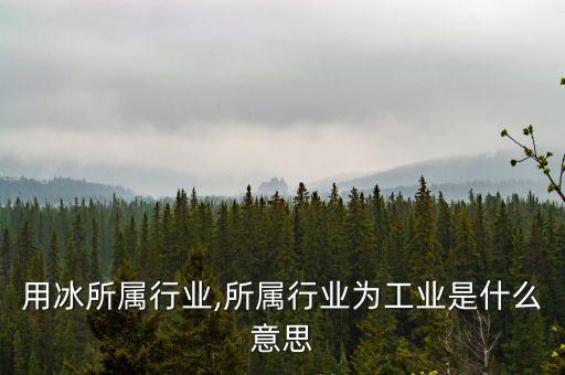 工业用冰所属行业,所属行业为工业是什么意思