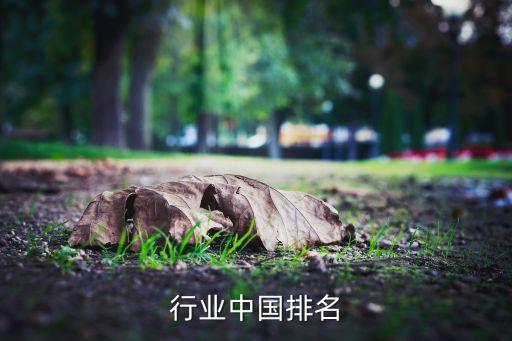 行业中国排名