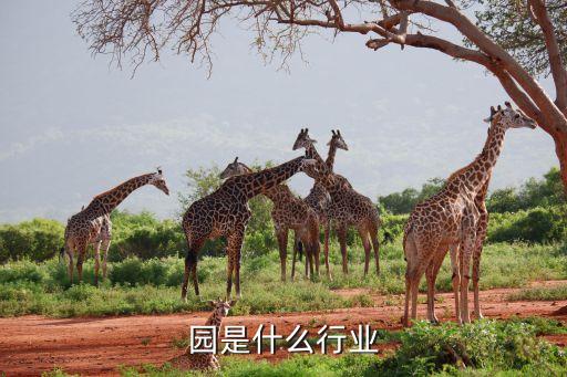 百果园是什么行业