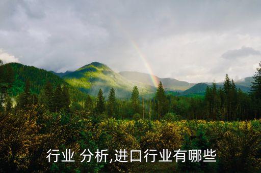  行业 分析,进口行业有哪些