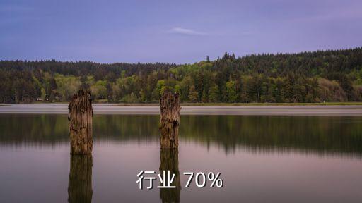 行业 70%