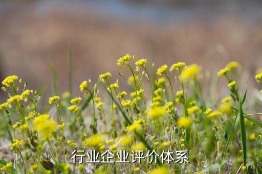 行业企业评价体系