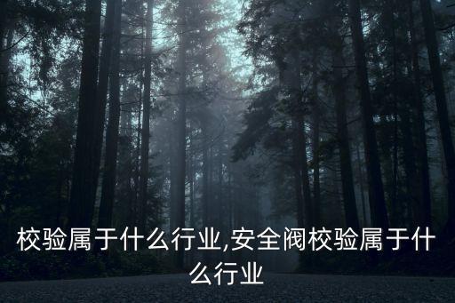 温度校验属于什么行业,安全阀校验属于什么行业