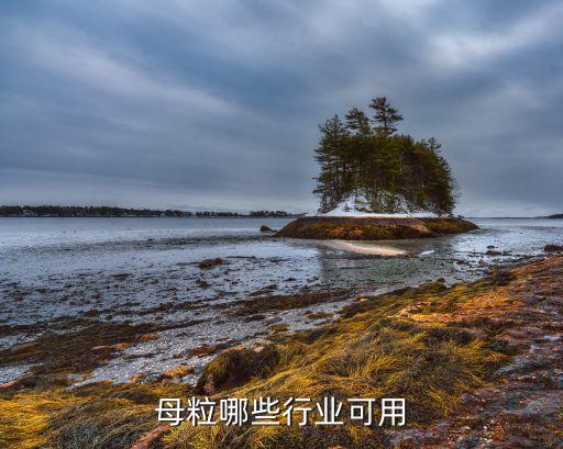 母粒哪些行业可用