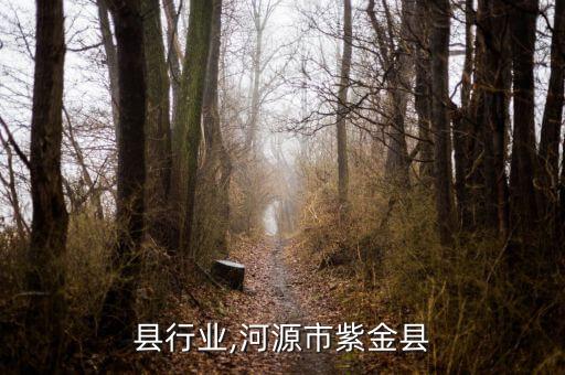 紫金县行业,河源市紫金县