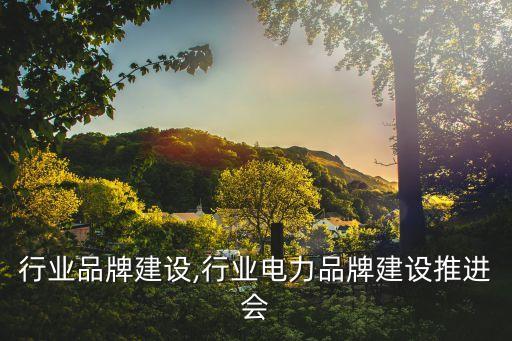 行业品牌建设,行业电力品牌建设推进会