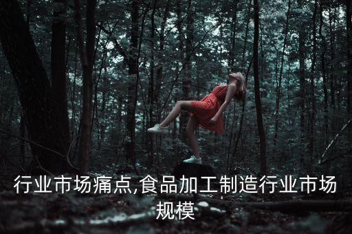 行业市场痛点,食品加工制造行业市场规模