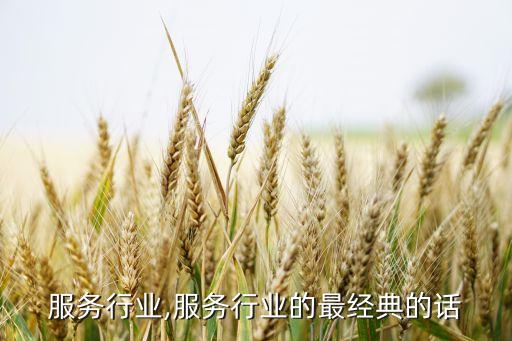 高级服务行业,服务行业的最经典的话