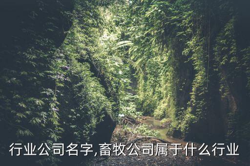 行业公司名字,畜牧公司属于什么行业
