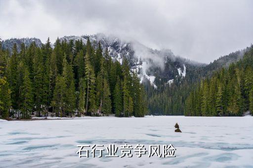 石行业竞争风险