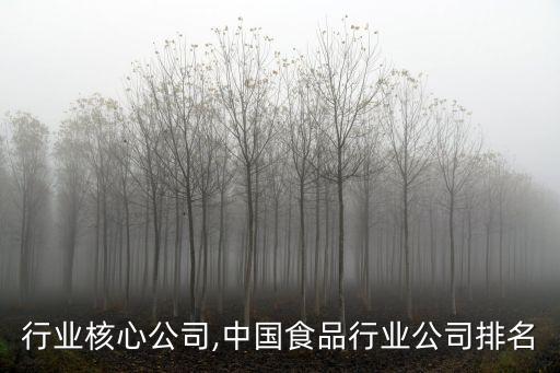 行业核心公司,中国食品行业公司排名