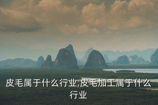 皮毛属于什么行业,皮毛加工属于什么行业
