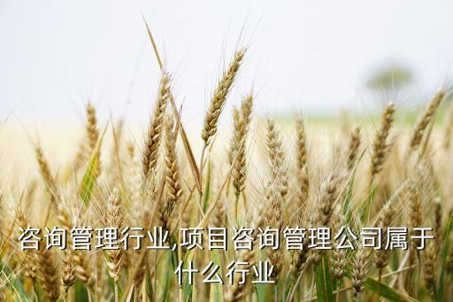陪训咨询管理行业,项目咨询管理公司属于什么行业