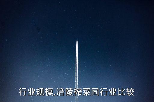 行业规模,涪陵榨菜同行业比较