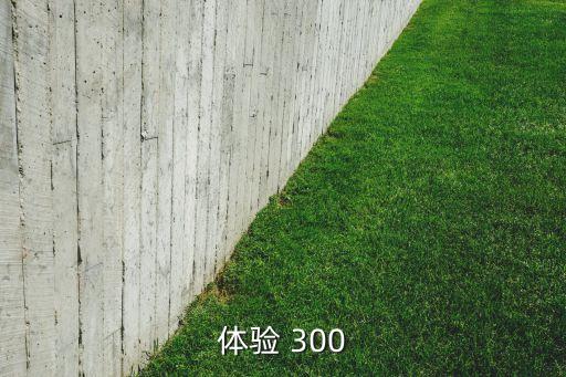 行业体验 300