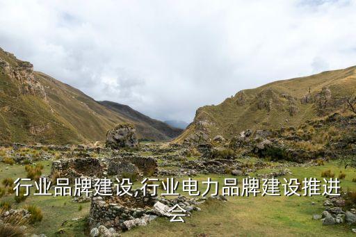 行业品牌建设,行业电力品牌建设推进会
