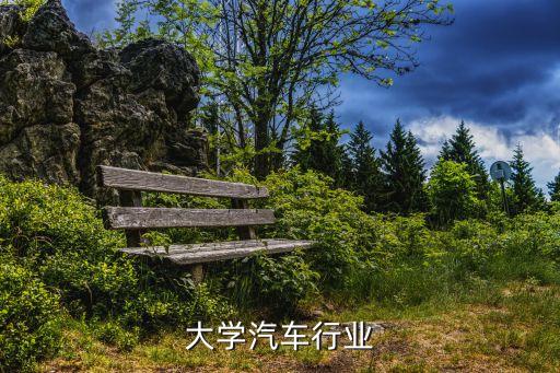 大学汽车行业
