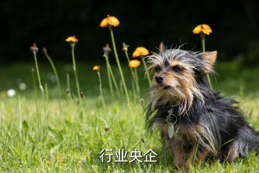汽车行业央企