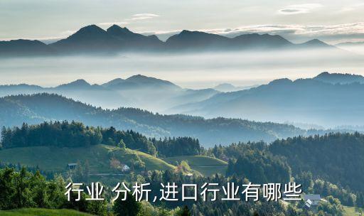进口 行业 分析,进口行业有哪些