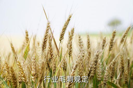钣金行业毛刺规定