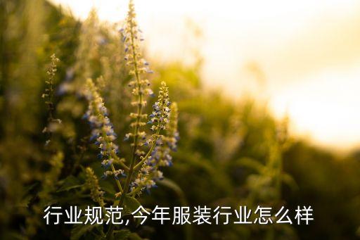 行业规范,今年服装行业怎么样