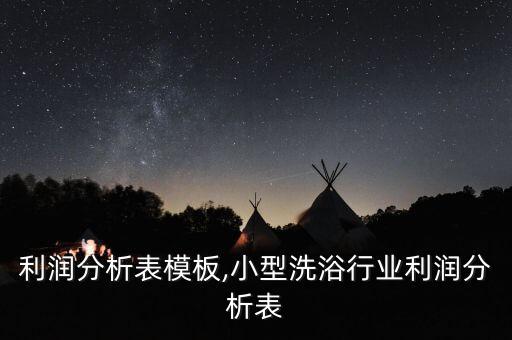 利润分析表模板,小型洗浴行业利润分析表