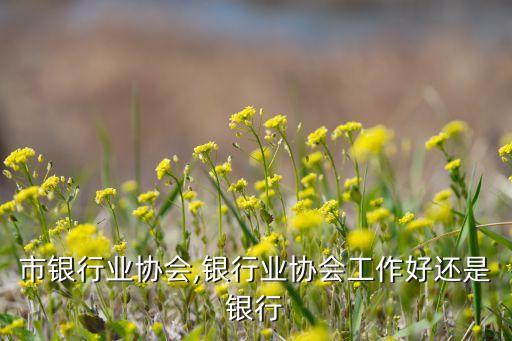 聊城市银行业协会,银行业协会工作好还是银行