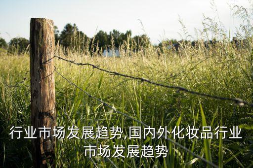 电镀行业市场发展趋势,国内外化妆品行业市场发展趋势