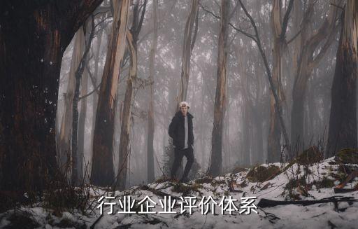 行业企业评价体系