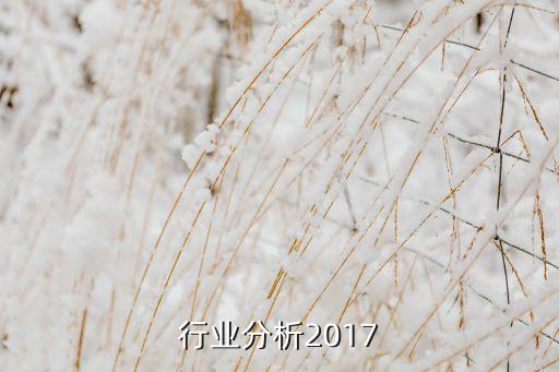 行业分析2017