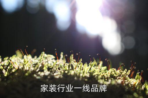 家装行业一线品牌