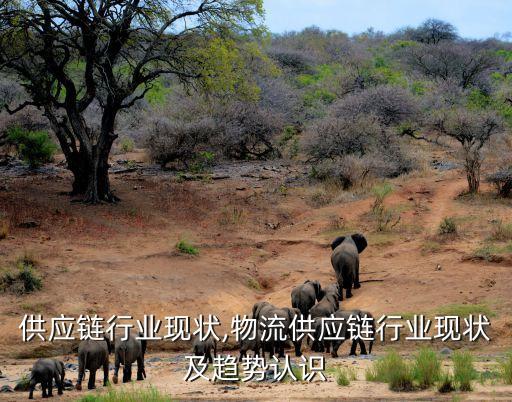 家居供应链行业现状,物流供应链行业现状及趋势认识