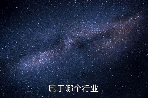 属于哪个行业