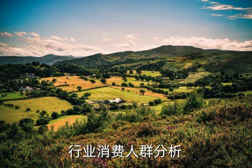 日化行业消费人群分析