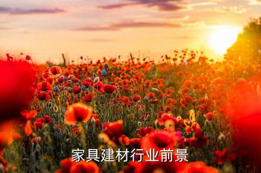 家具建材行业前景