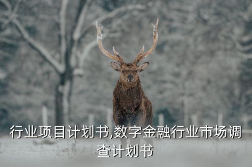 行业项目计划书,数字金融行业市场调查计划书