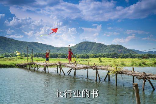 关于ic行业的书