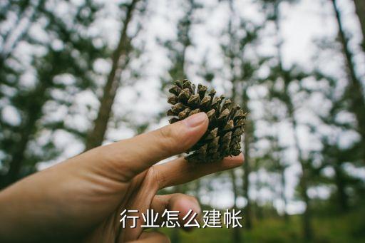 行业怎么建帐
