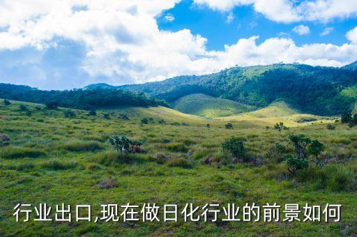 行业出口,现在做日化行业的前景如何