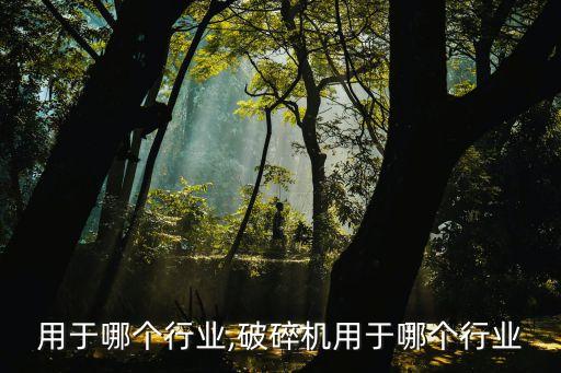 吊镀用于哪个行业,破碎机用于哪个行业
