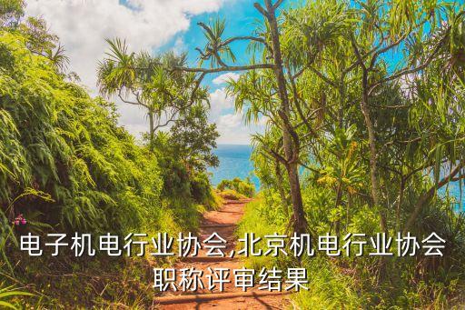 潮州电子机电行业协会,北京机电行业协会职称评审结果