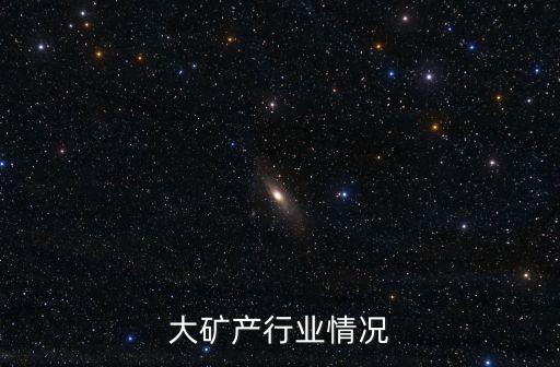 大矿产行业情况