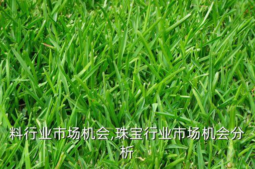 料行业市场机会,珠宝行业市场机会分析