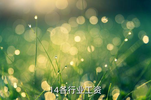 14各行业工资